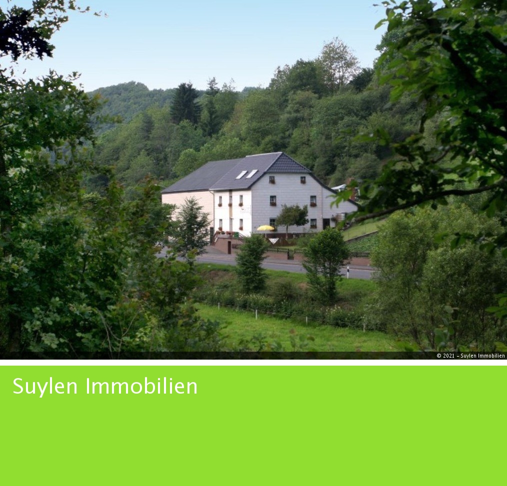 Hotels der Eifel  Mosel und Hunsr  ck Immobilien Eifelhome